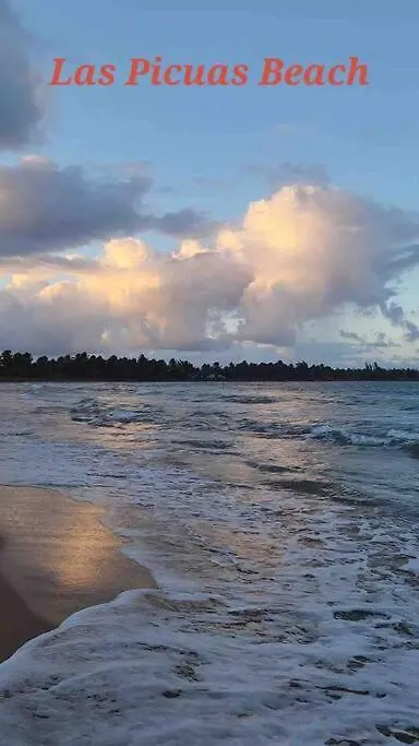 Vereda'S Coastal Retreat - Bf-302 Las Coles Puerto Rico