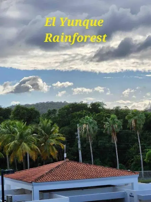 Apartment Vereda'S Coastal Retreat - Bf-302 Las Coles