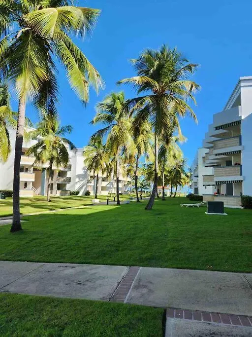 Apartment Vereda'S Coastal Retreat - Bf-302 Las Coles
